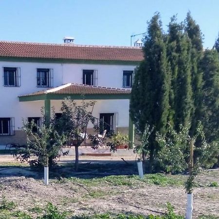 Alojamiento Rural El Orégano Campillos Extérieur photo