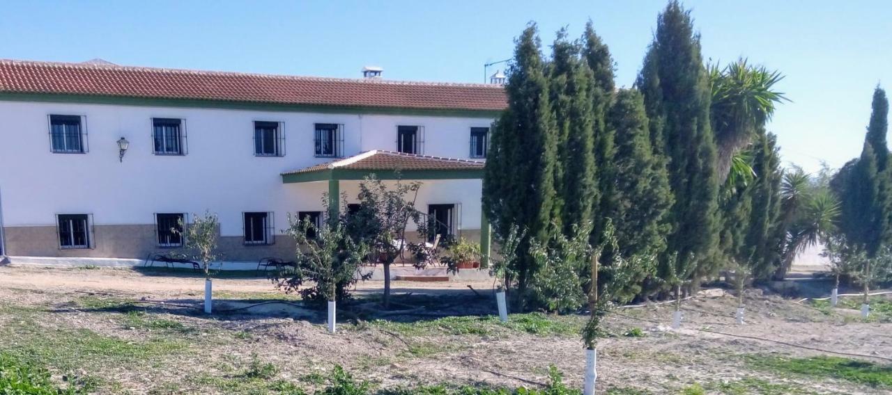 Alojamiento Rural El Orégano Campillos Extérieur photo