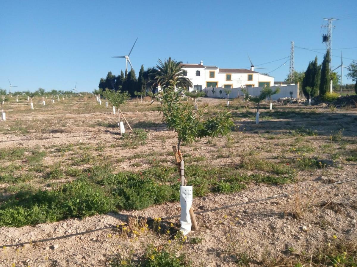 Alojamiento Rural El Orégano Campillos Extérieur photo